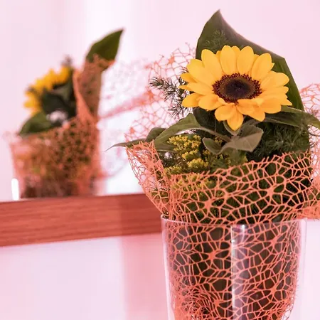 Casa Vacanze Il Girasole